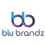 BluBrandz Solutions logo