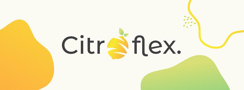 Citroflex - Agencia Web cover