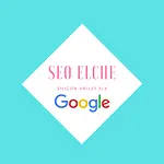 Seo Elche - Consultor Seo Elche logo