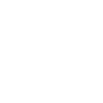 Anima Creative Studio logo