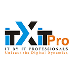IT By IT Professionals logo