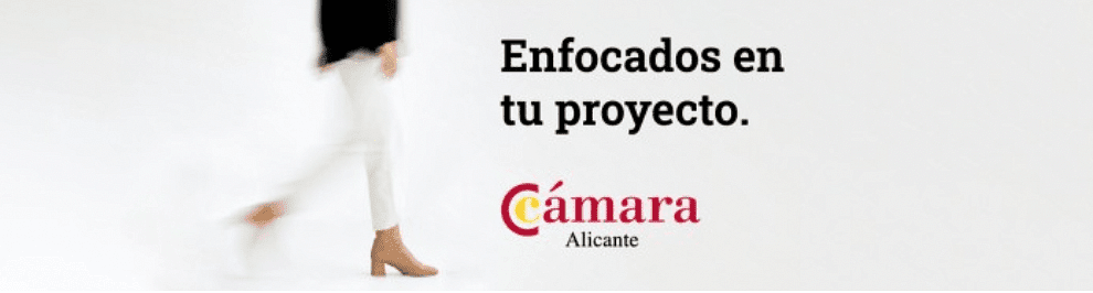 Cámara Alicante cover
