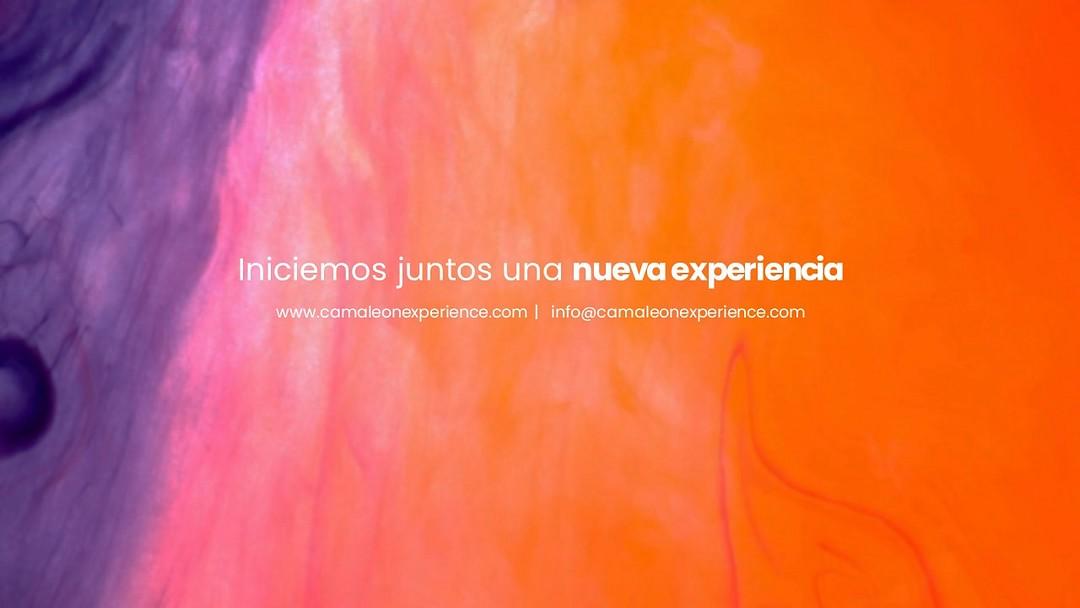 Camaleón Experience cover