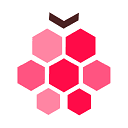 Social Berries logo