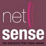 Netsense logo
