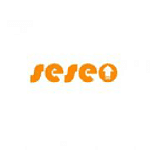 SESEO - Agencia SEO en Sevilla