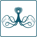 Octopus360 logo