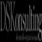 DSKonsulting logo