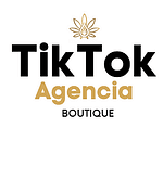 Agencia de Marketing en TikTok | Creación de Contenidos en TikTok | Anuncios en TikTok Ads España