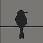 Blackbird Films logo