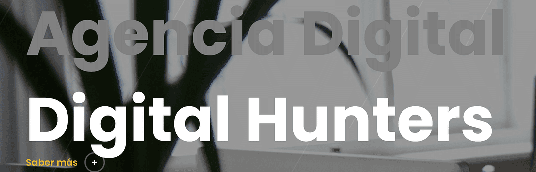 Digital Hunters | Agencia de marketing creativa cover