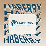 Haberry - Agencia de marketing logo