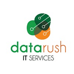 DataRush logo