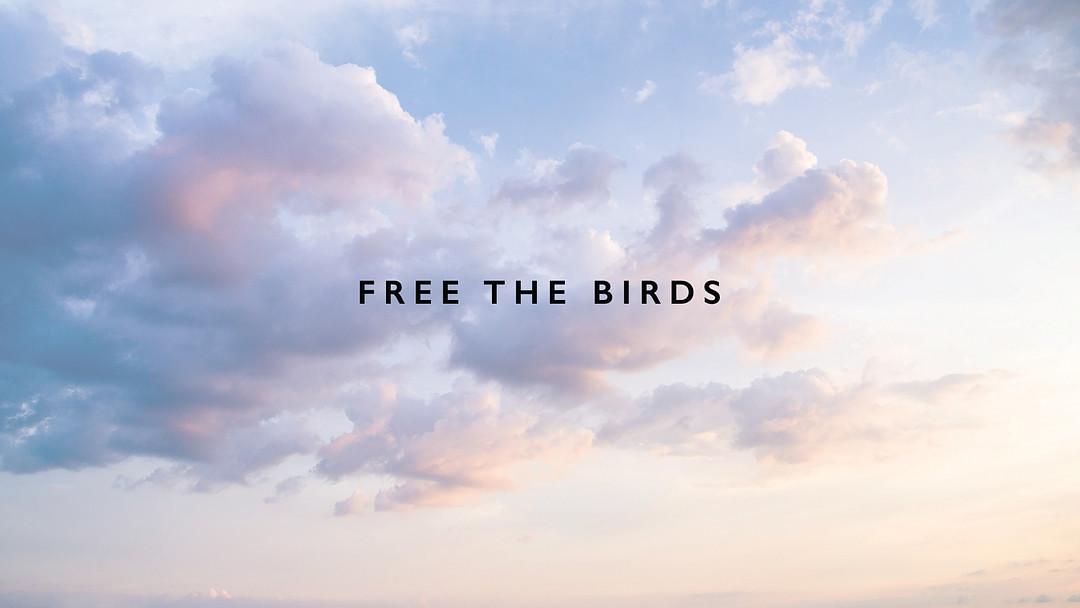 Free The Birds cover