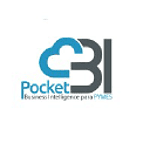 Pocket Business Intelligence