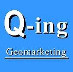 Q-ING CONSULTORES logo