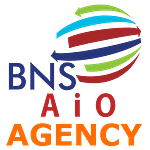 BNS AiO Agency logo