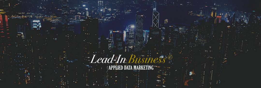 Lead-In Business cover