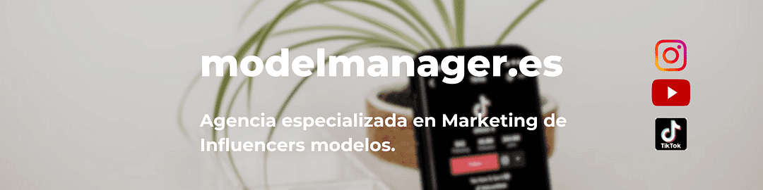 MODELMANAGER cover
