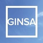 Ginsa Electronic S.L