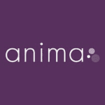 Anima Strategic Consulting
